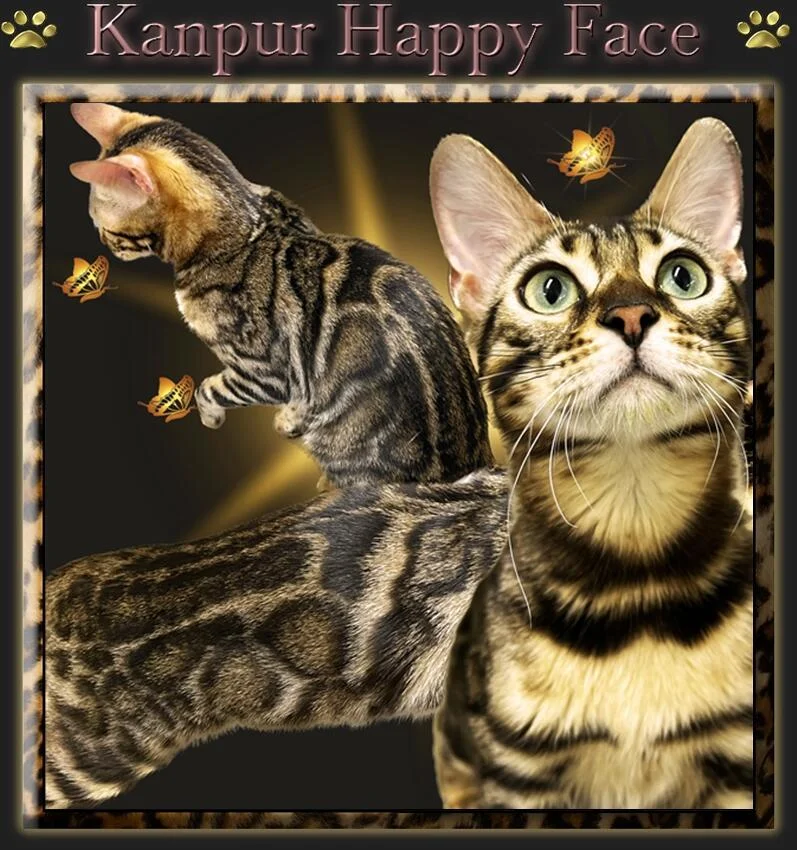Kanpur Happy Face