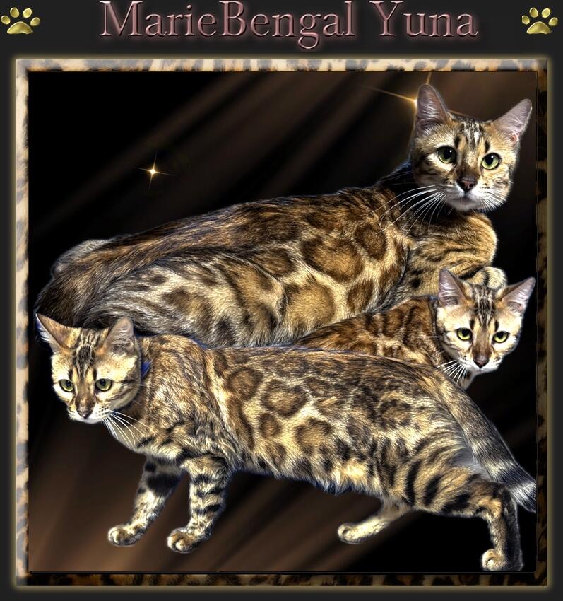 MarieBengal Yuna