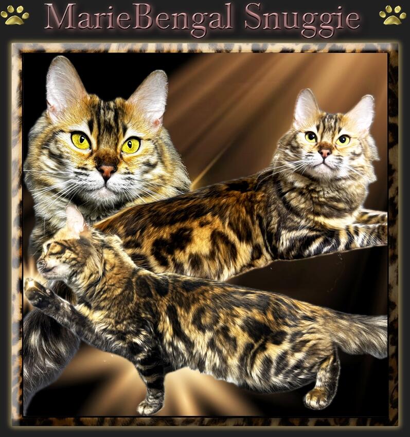 MarieBengal sniggie