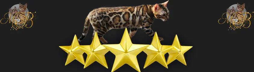 Marie Bengal Review